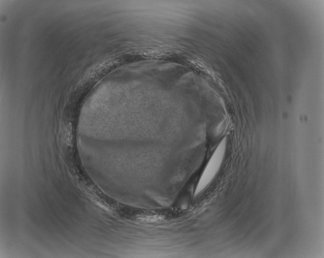 X0000083560689200702231604