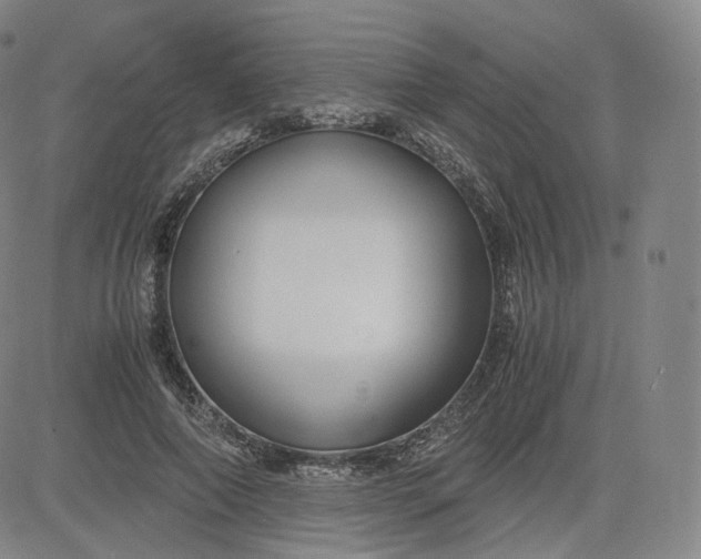 X0000083560690200702231604