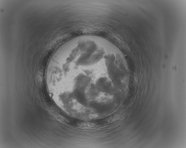 X0000083560691200702231604