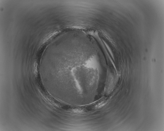 X0000083560692200702231604