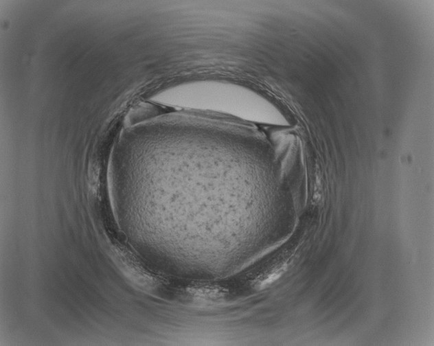 X0000083560693200702231604