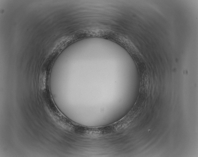 X0000083560694200702231604