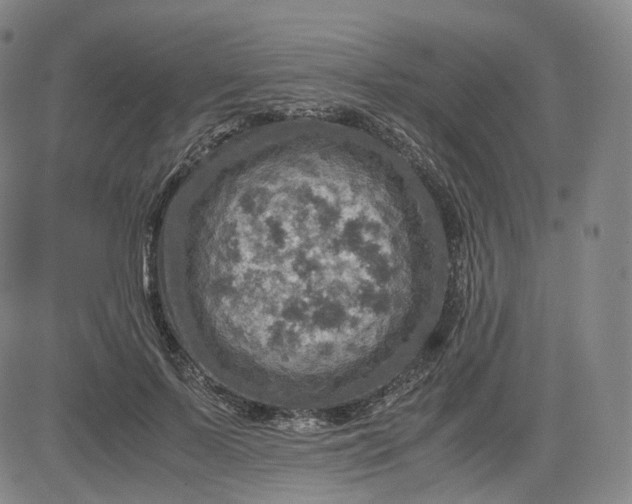 X0000083560695200702231604