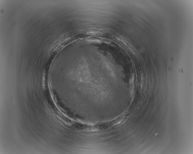 X0000083560696200702231604