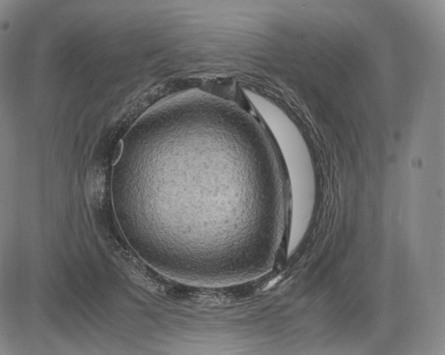 X0000083560697200702231604