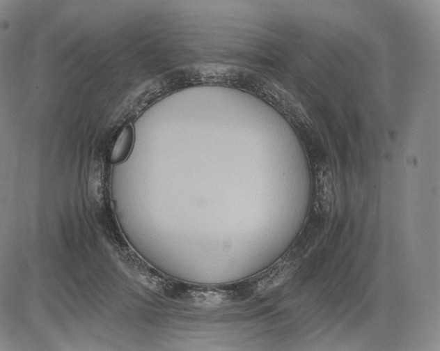 X0000083560698200702231604