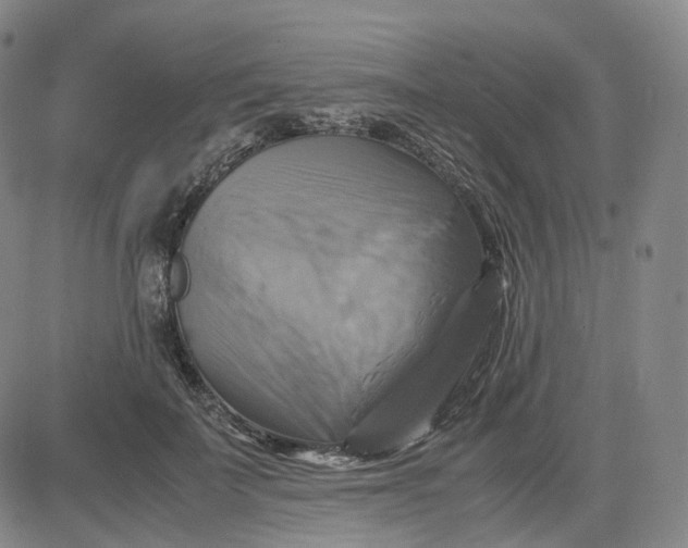 X0000083560699200702231604