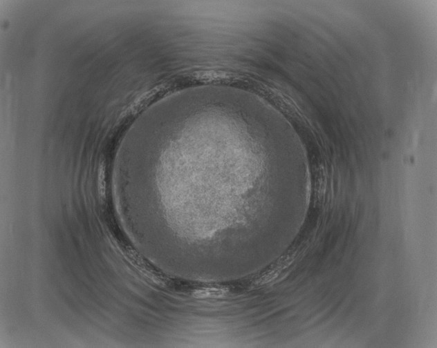 X0000083560700200702231604