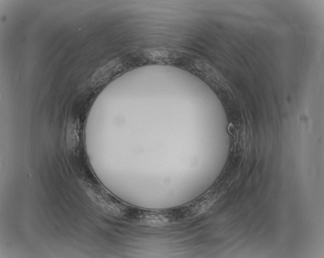 X0000083560702200702231604