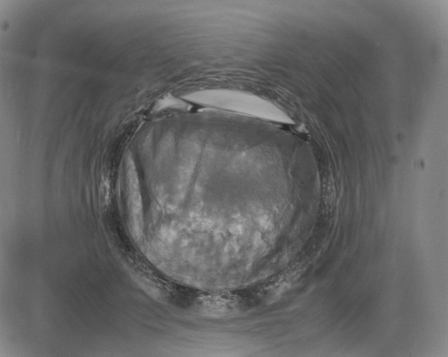 X0000083560703200702231604