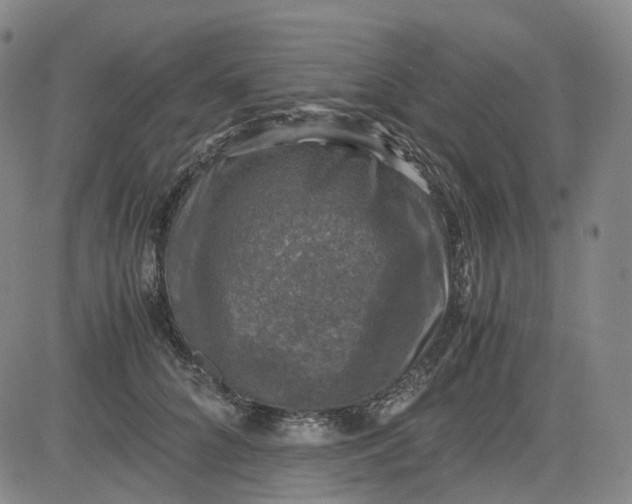 X0000083560704200702231604