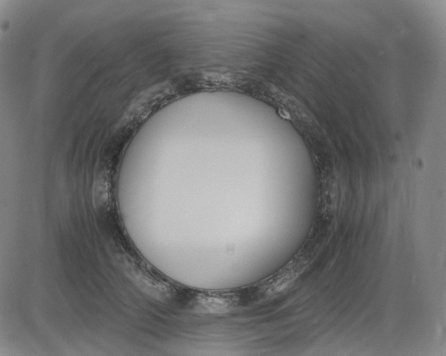 X0000083560706200702231604