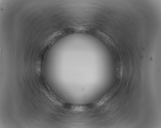 X0000083560710200702231604