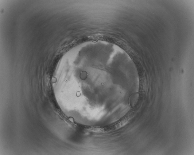 X0000083560711200702231604