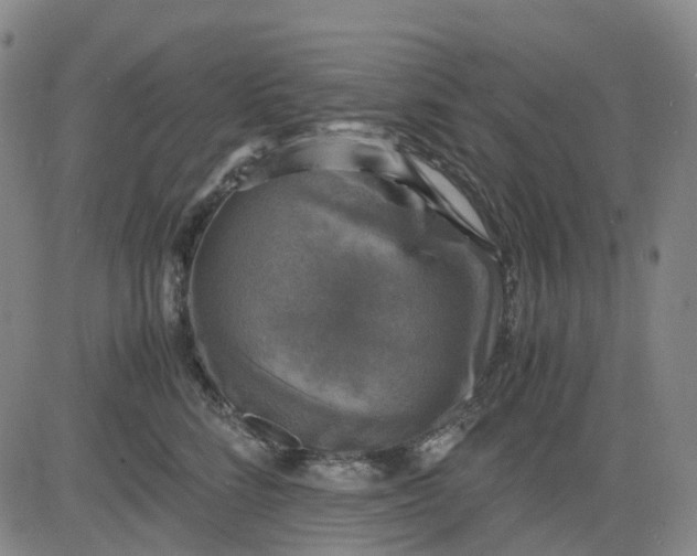 X0000083560712200702231604