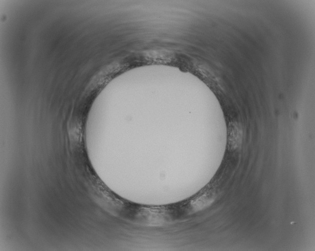 X0000083560713200702231604