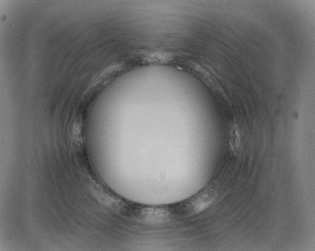 X0000083560714200702231604