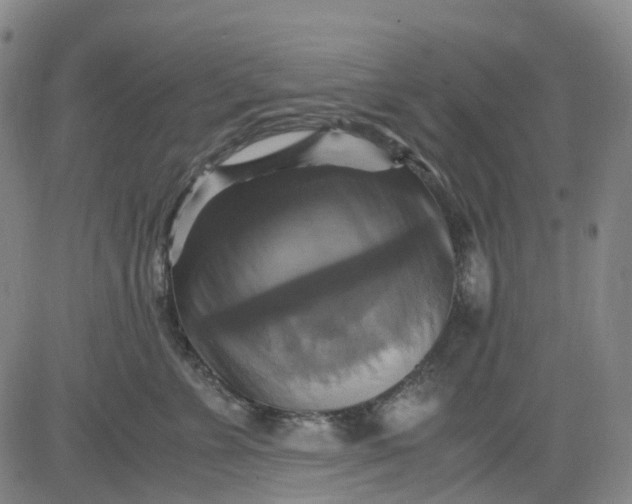 X0000083560715200702231604