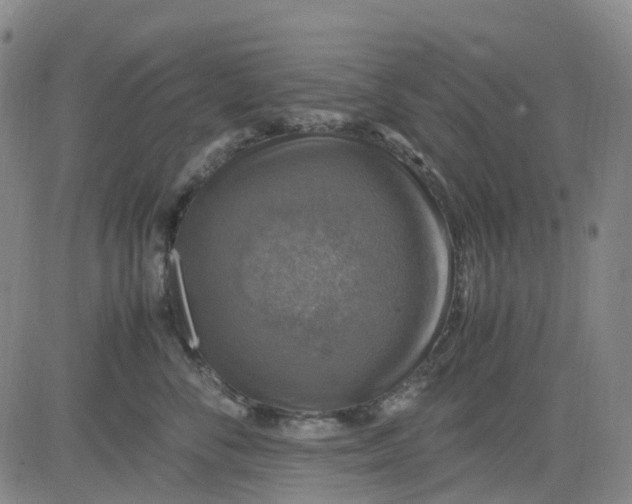 X0000083560716200702231604