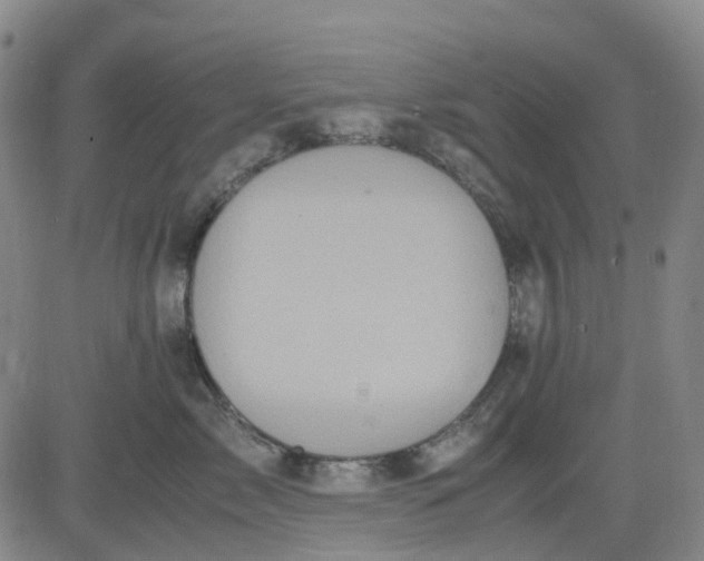 X0000083560717200702231604