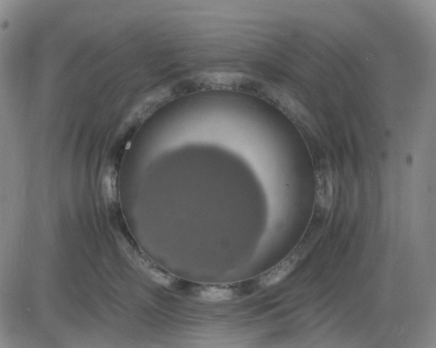 X0000083560718200702231604