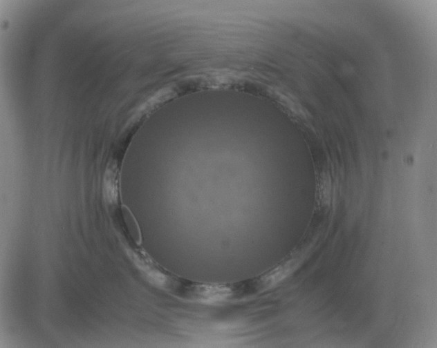 X0000083560719200702231604