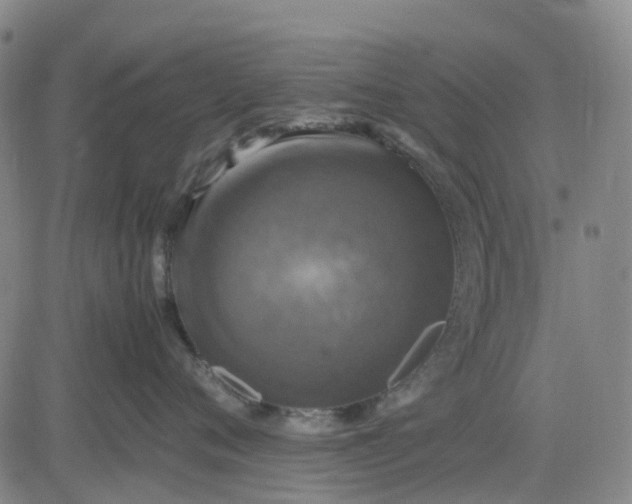 X0000083560720200702231603