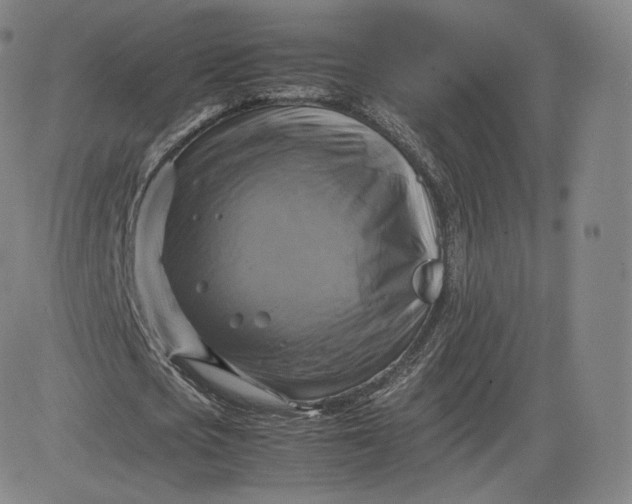 X0000083560721200702231602