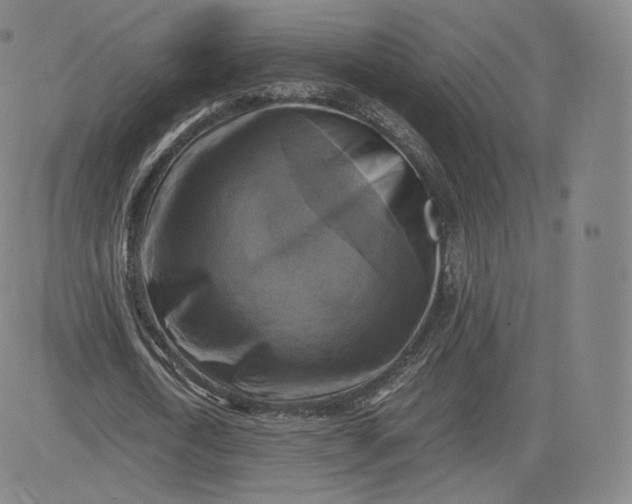 X0000083560722200702231602