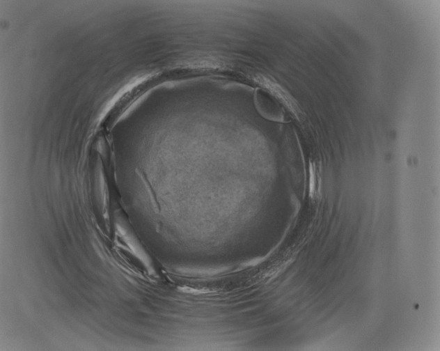 X0000083560723200702231602