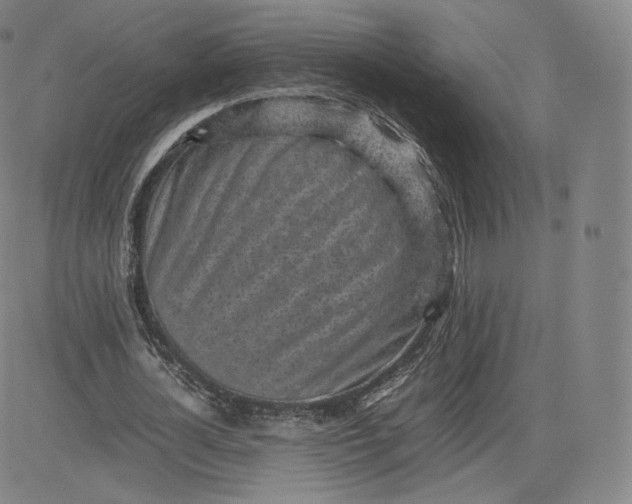 X0000083560724200702231602