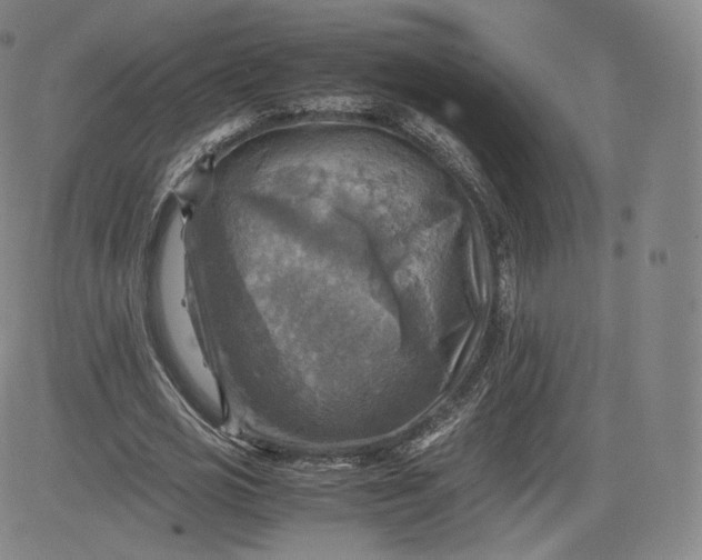 X0000083560725200702231603