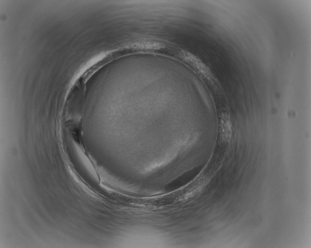 X0000083560726200702231603