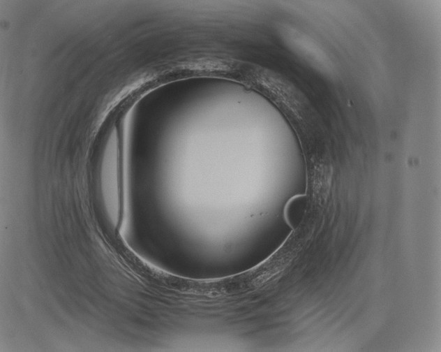 X0000083560727200702231603