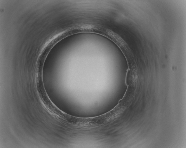 X0000083560728200702231603