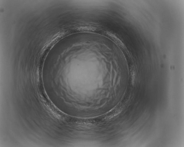 X0000083560729200702231603