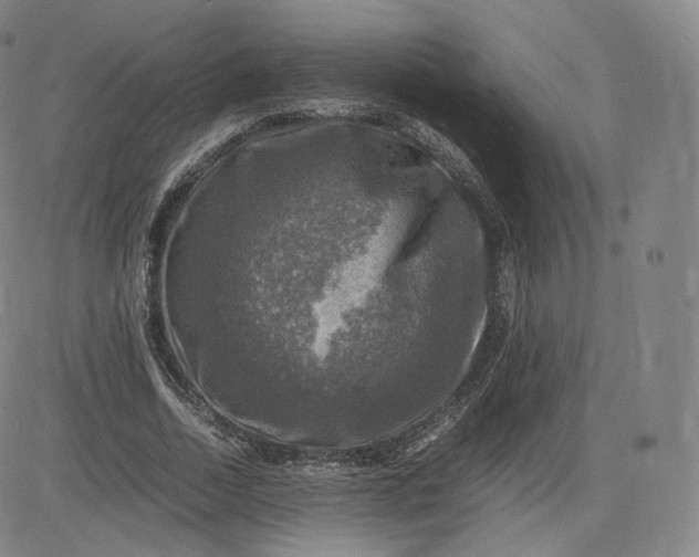 X0000083560730200702231603