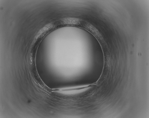 X0000083560731200702231603