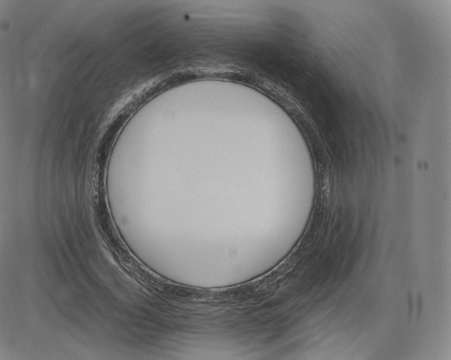 X0000083560732200702231603