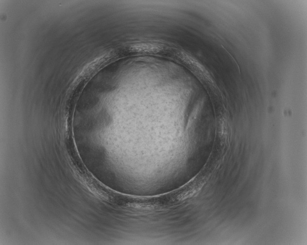 X0000083560733200702231603