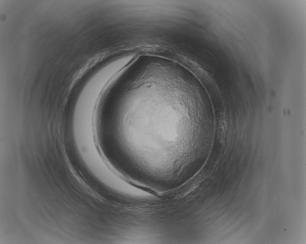 X0000083560734200702231603