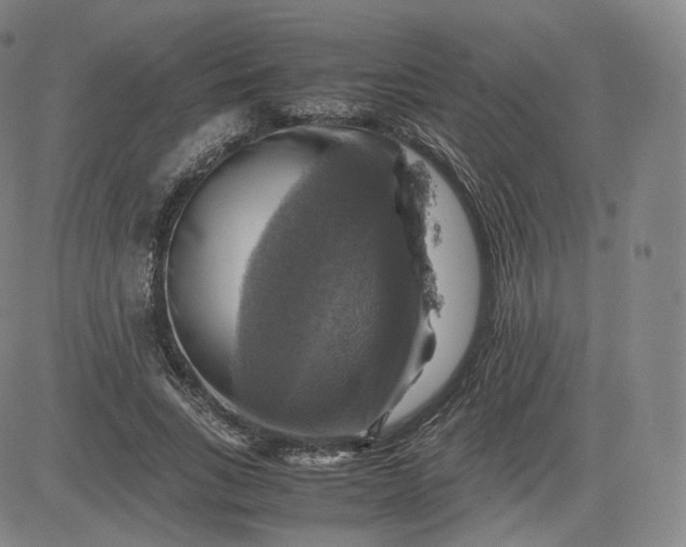 X0000083560735200702231603