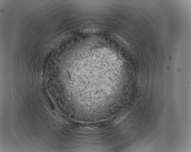 X0000083560737200702231603