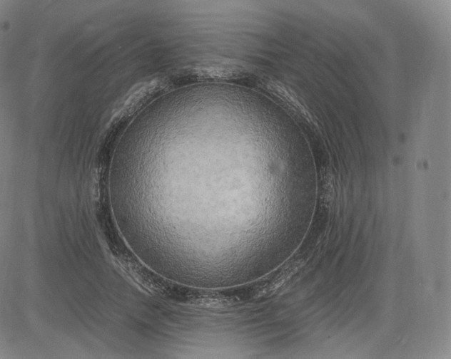 X0000083560738200702231603