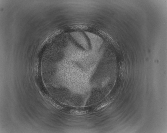 X0000083560739200702231603