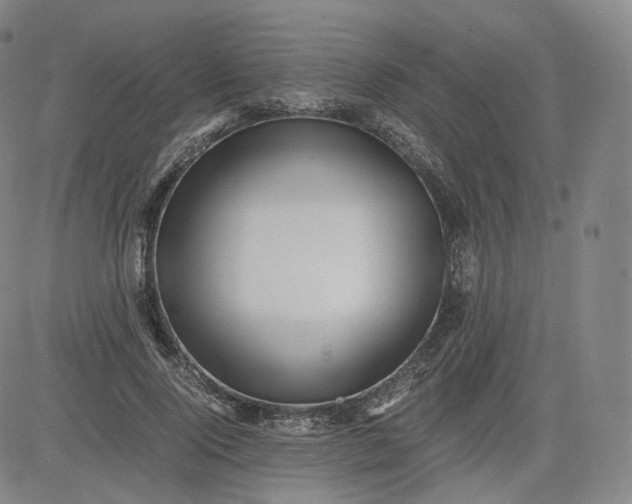 X0000083560740200702231603