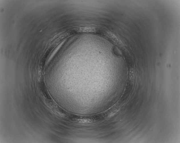 X0000083560741200702231603