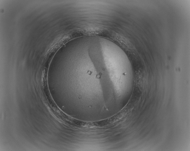 X0000083560742200702231603