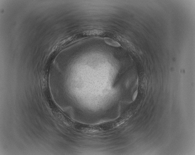 X0000083560743200702231603