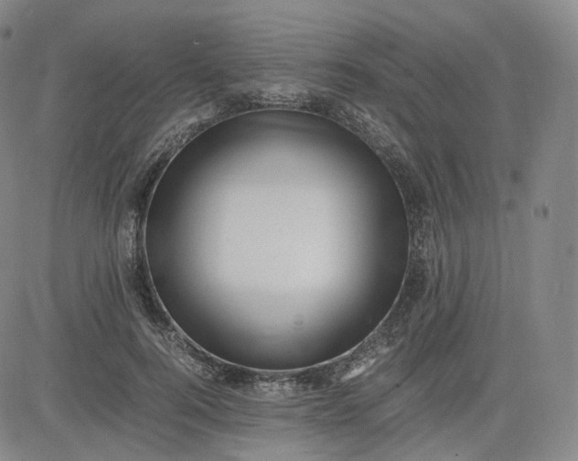 X0000083560744200702231603